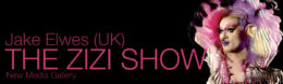 The Zizi Show